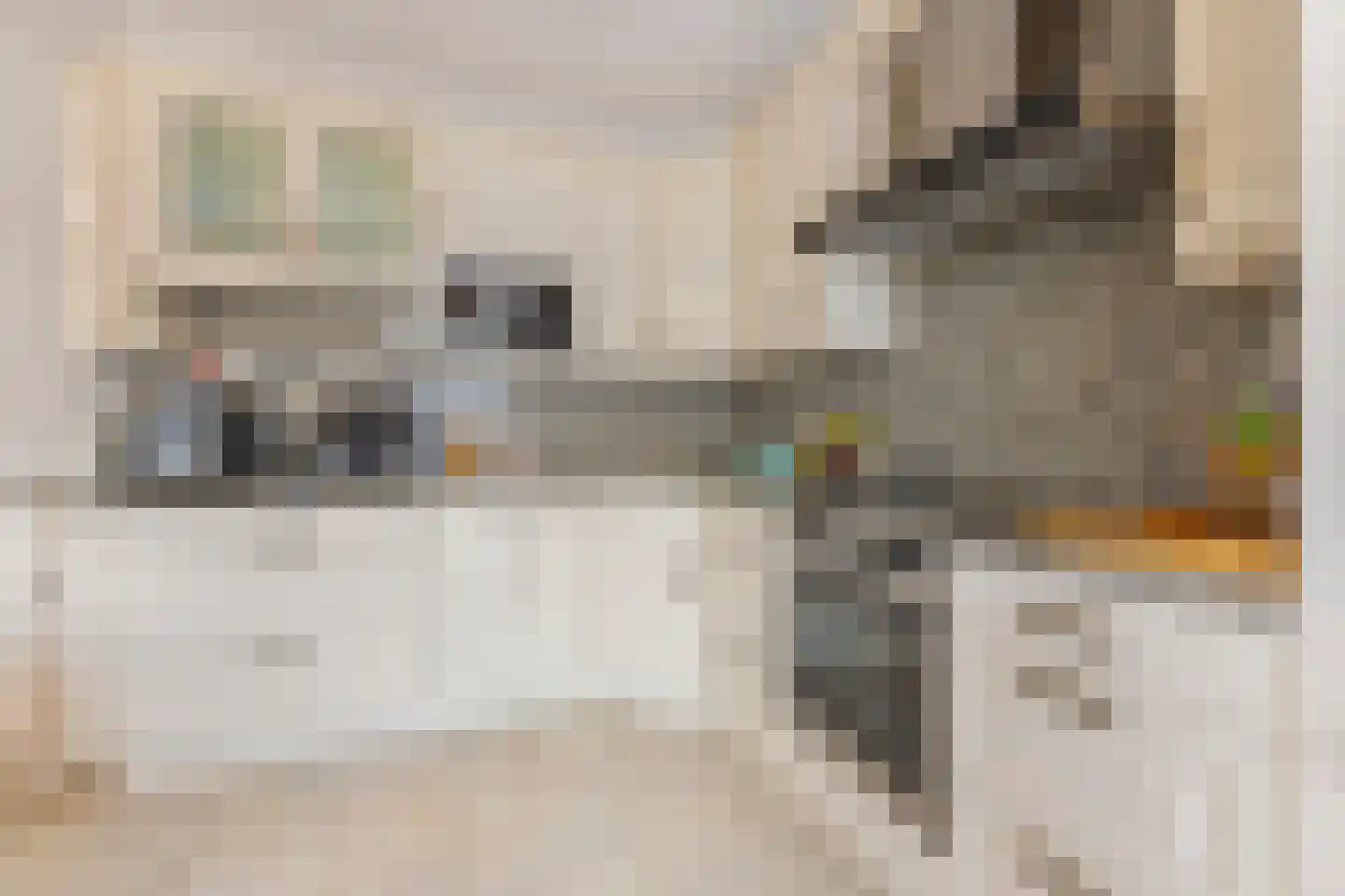 Meeuwenstraat 42 Venlo thumbnail 11