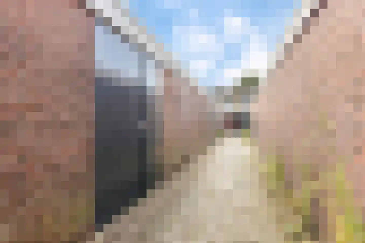 Meeuwenstraat 42 Venlo thumbnail 17