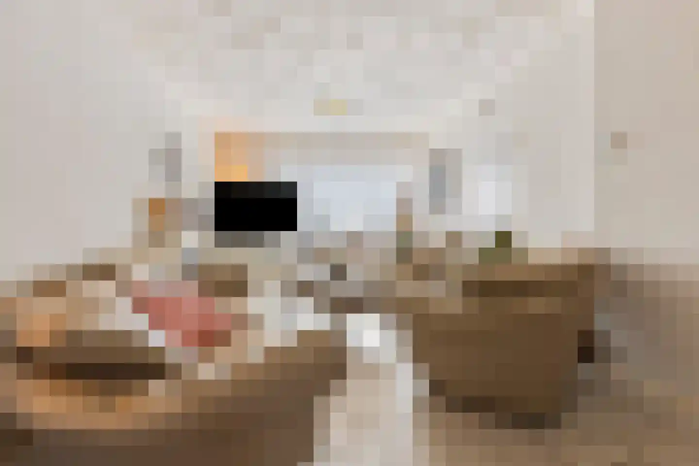 Meeuwenstraat 42 Venlo thumbnail 7