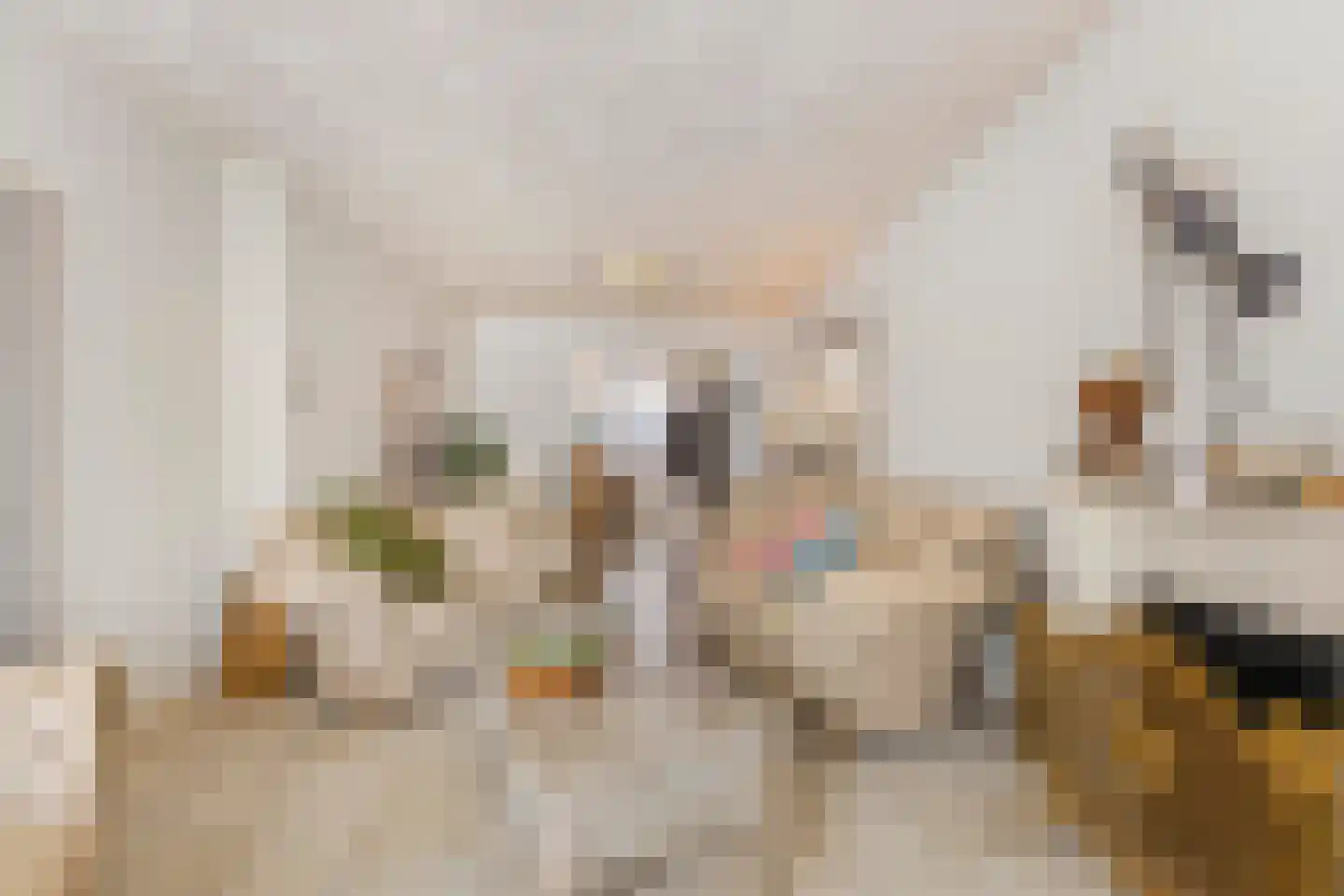 Meeuwenstraat 42 Venlo thumbnail 8