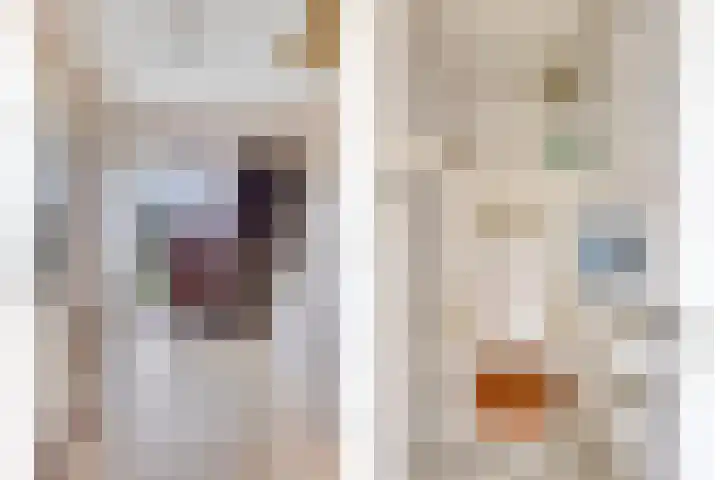 Meeuwenstraat 6 Goor thumbnail 13
