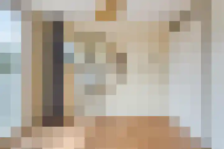 Meeuwenstraat 6 Goor thumbnail 16