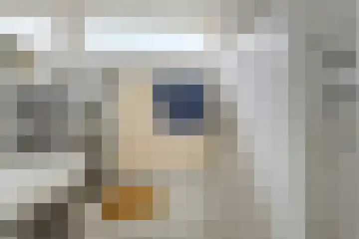 Meeuwenstraat 6 Goor thumbnail 18
