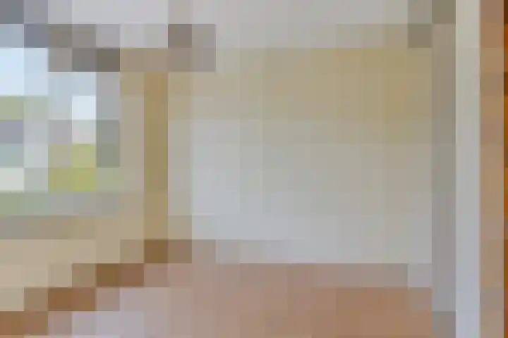 Meeuwenstraat 6 Goor thumbnail 20
