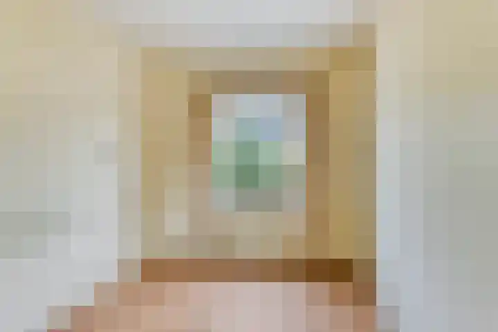 Meeuwenstraat 6 Goor thumbnail 22
