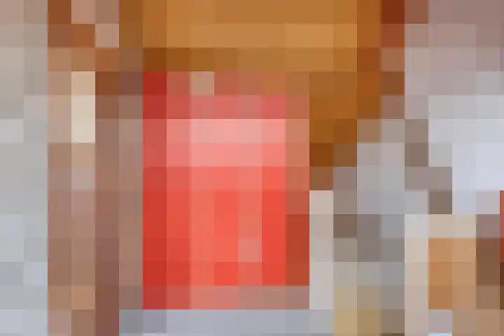 Meeuwenstraat 6 Goor thumbnail 23