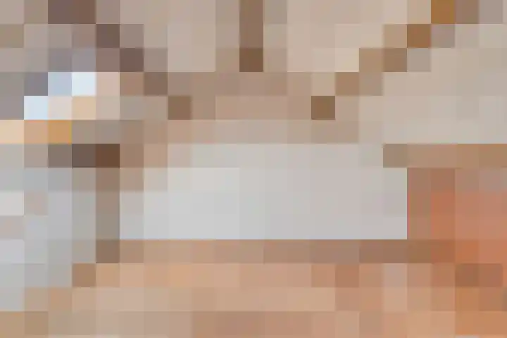 Meeuwenstraat 6 Goor thumbnail 24