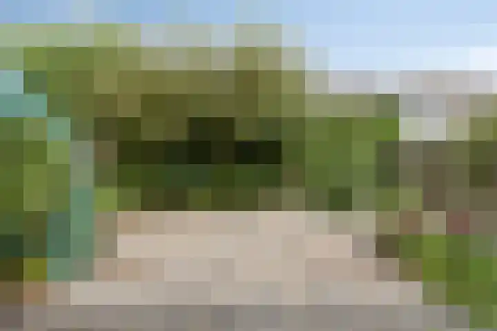 Meeuwenstraat 6 Goor thumbnail 25