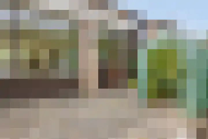 Meeuwenstraat 6 Goor thumbnail 26