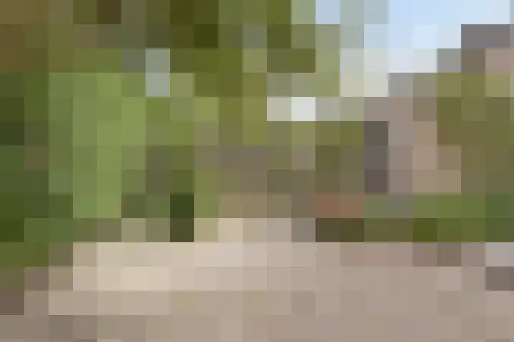 Meeuwenstraat 6 Goor thumbnail 27