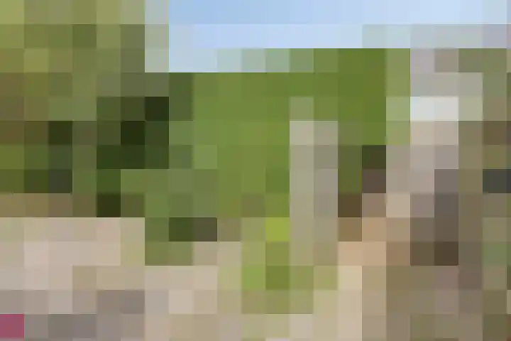 Meeuwenstraat 6 Goor thumbnail 29