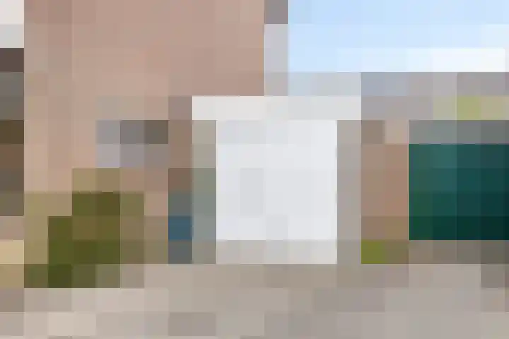 Meeuwenstraat 6 Goor thumbnail 31