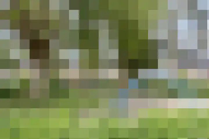 Meeuwenstraat 6 Goor thumbnail 32