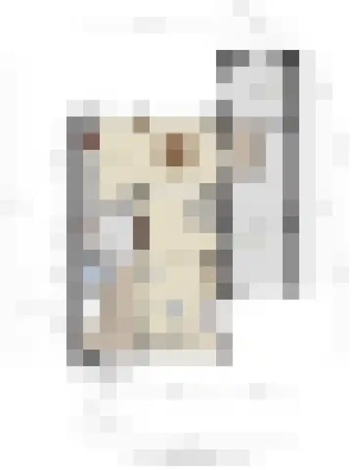 Meeuwenstraat 6 Goor thumbnail 33