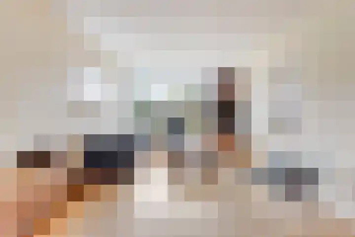 Meeuwenstraat 6 Goor thumbnail 4