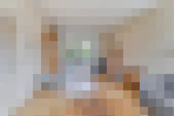 Meeuwenstraat 6 Goor thumbnail 5