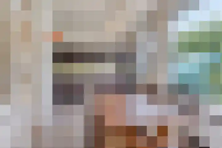 Meeuwenstraat 6 Goor thumbnail 7
