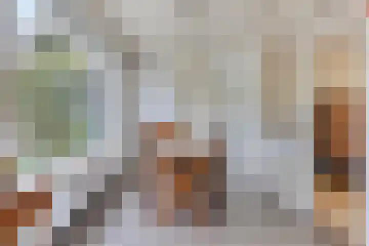 Meeuwenstraat 6 Goor thumbnail 8
