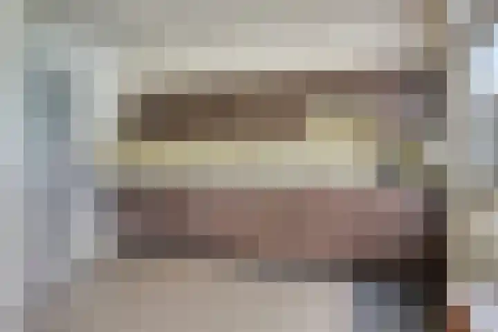 Meeuwenstraat 6 Goor thumbnail 9