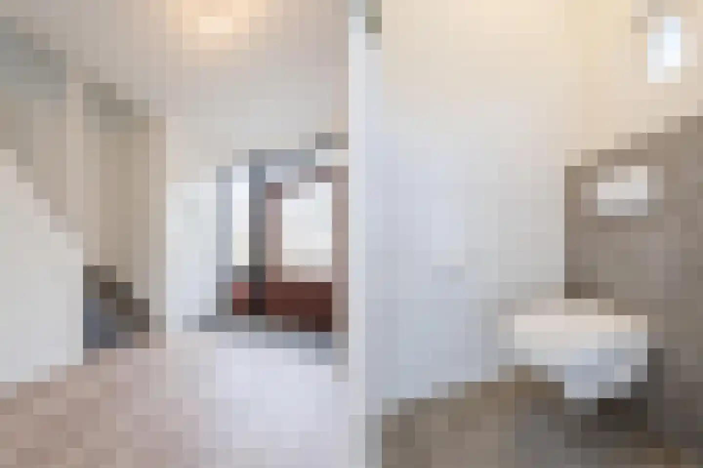 Meeuwenstraat 6 Overasselt thumbnail 10
