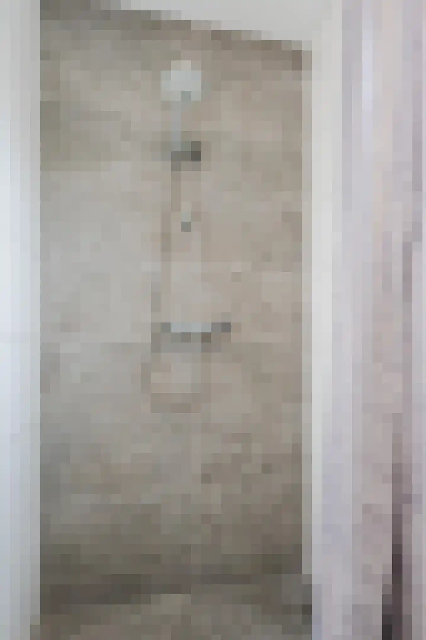 Meeuwenstraat 6 Overasselt thumbnail 21