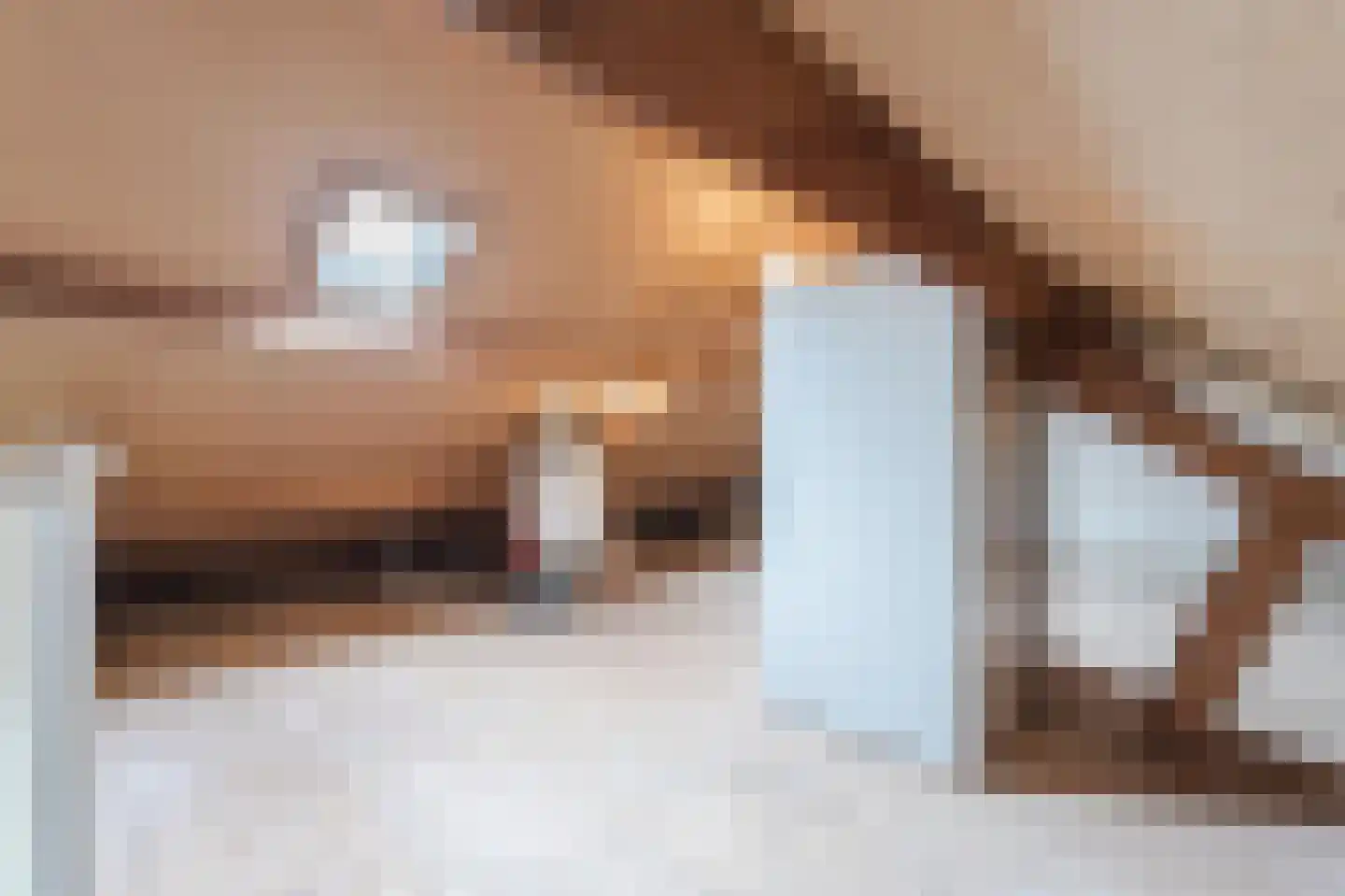 Meeuwenstraat 6 Overasselt thumbnail 25