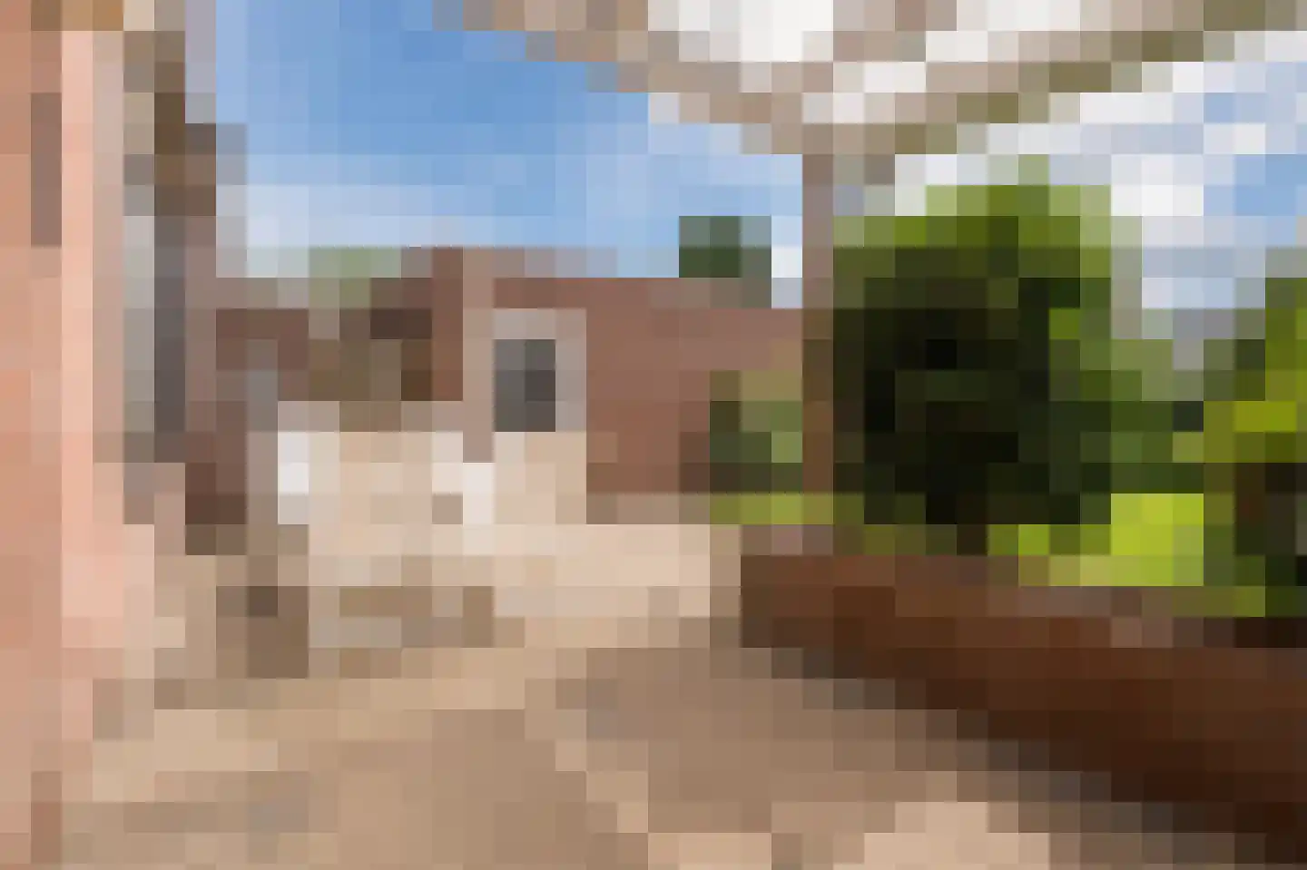 Meeuwenstraat 6 Overasselt thumbnail 28