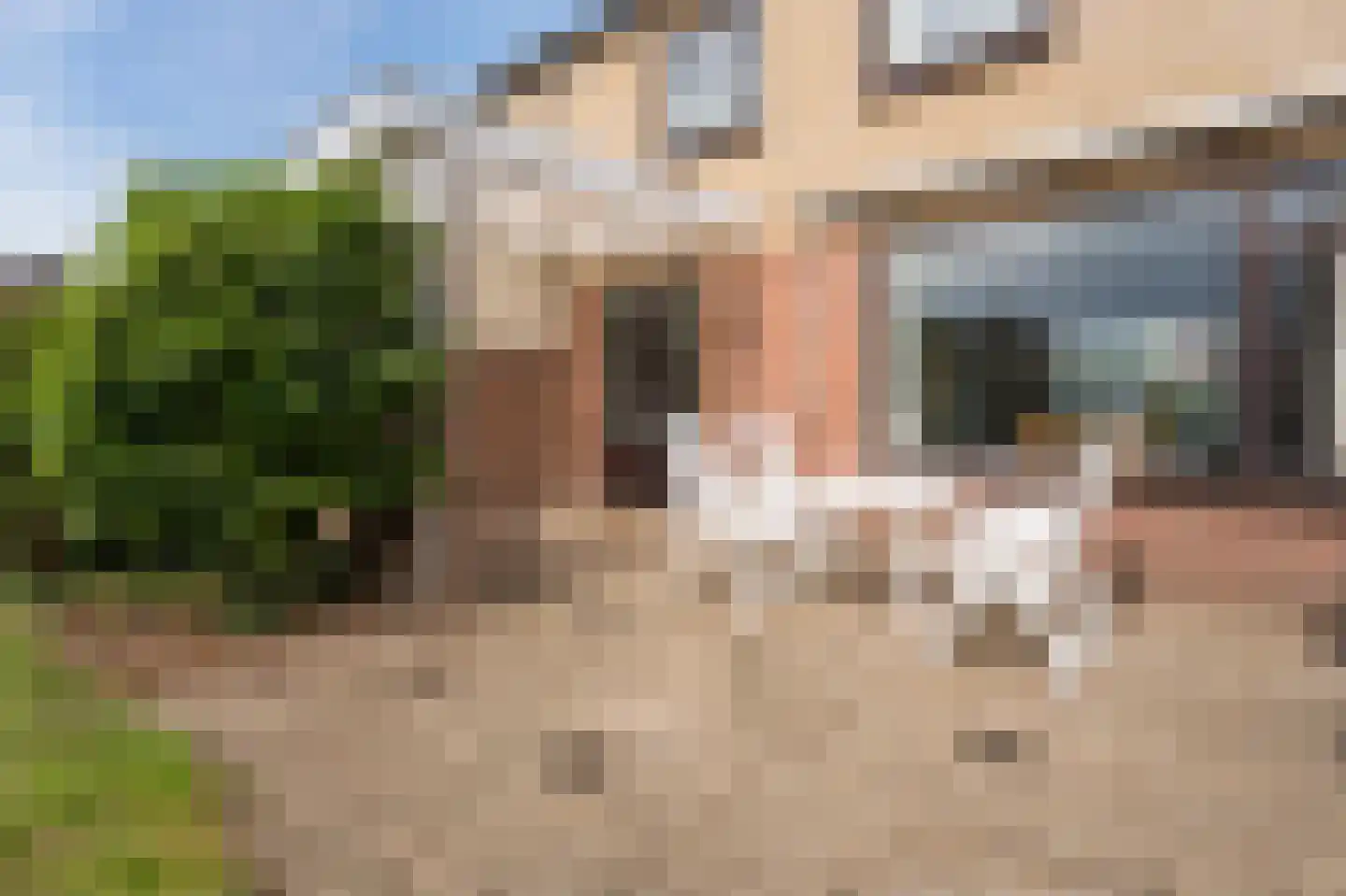 Meeuwenstraat 6 Overasselt thumbnail 30