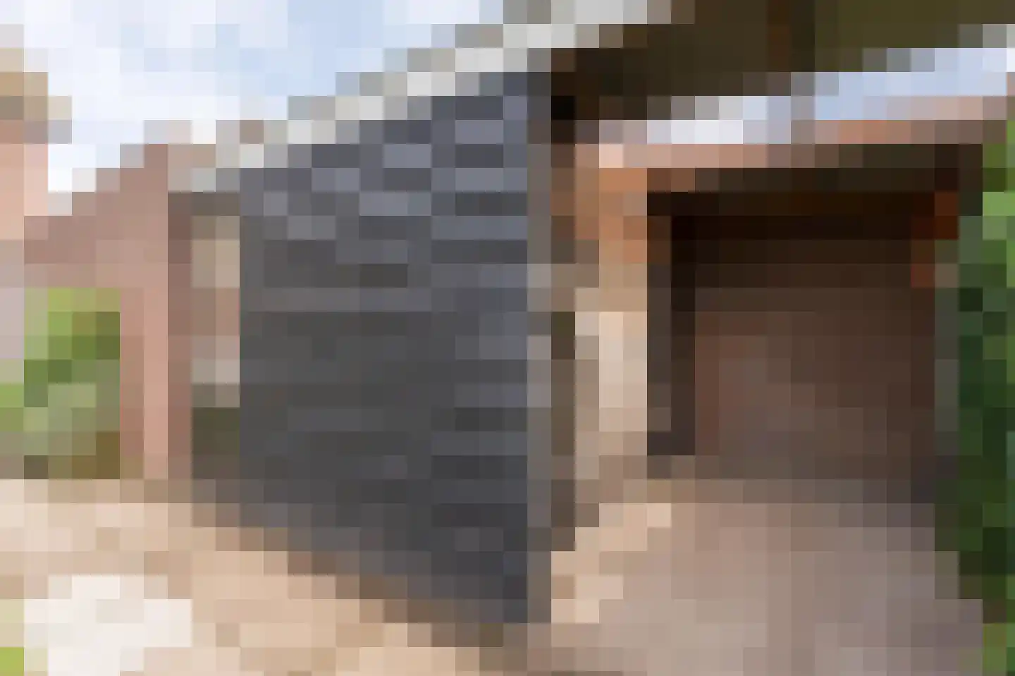 Meeuwenstraat 6 Overasselt thumbnail 34