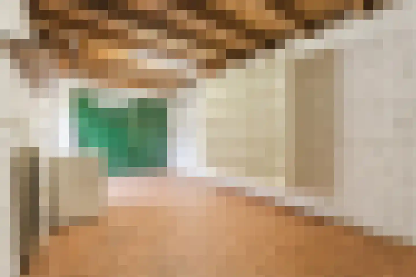 Meeuwenstraat 6 Overasselt thumbnail 36