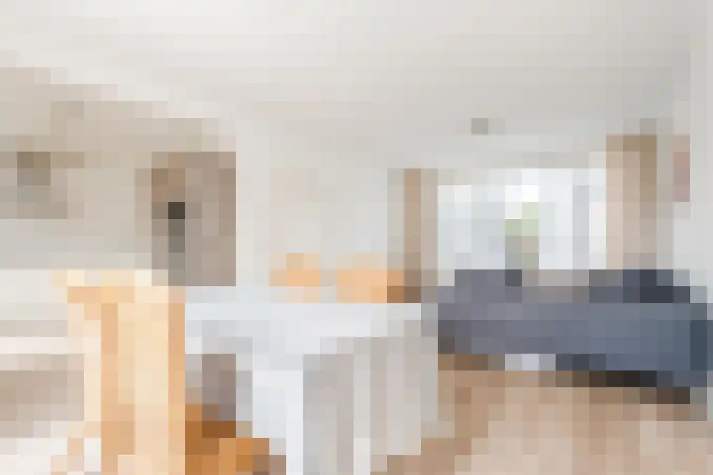 Meeuwenstraat 6 Overasselt thumbnail 4