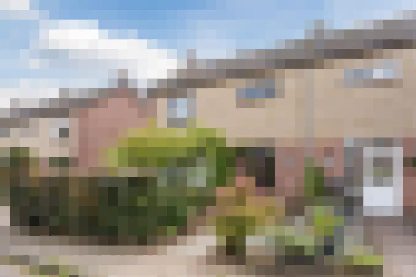 Meeuwenstraat 6 Overasselt thumbnail 41