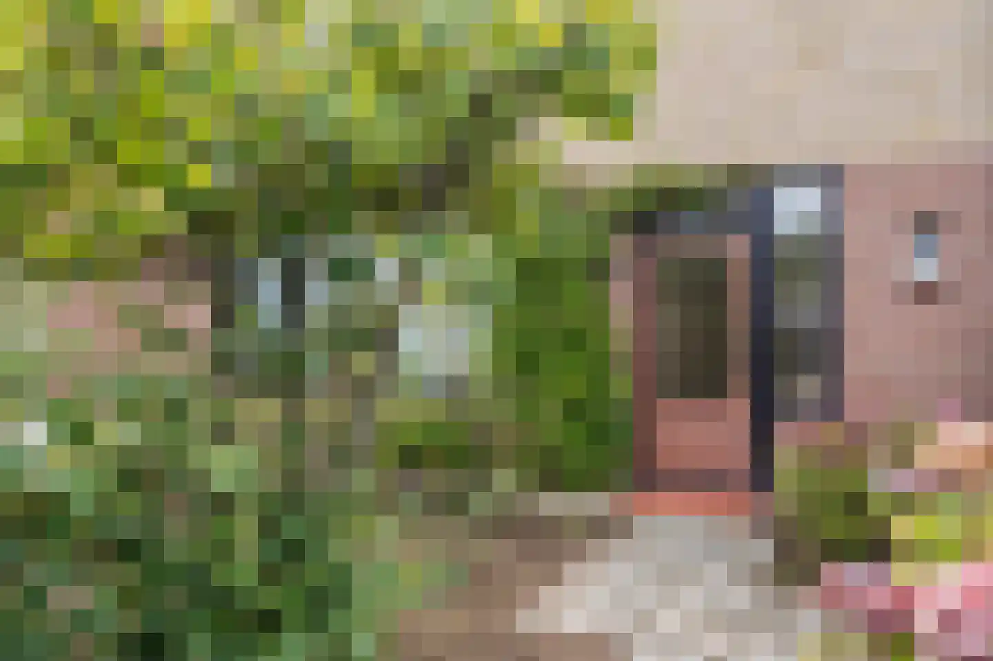 Meeuwenstraat 6 Overasselt thumbnail 43