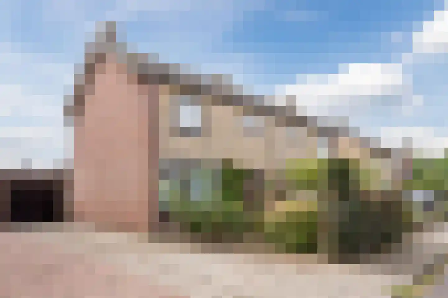 Meeuwenstraat 6 Overasselt thumbnail 45