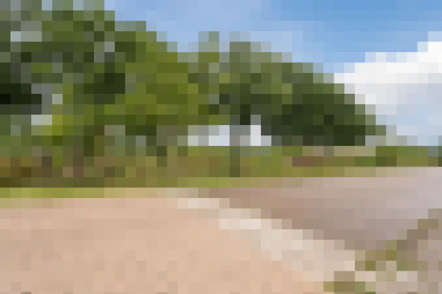 Meeuwenstraat 6 Overasselt thumbnail 48