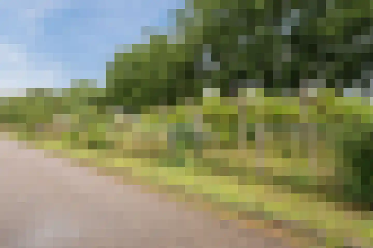 Meeuwenstraat 6 Overasselt thumbnail 49