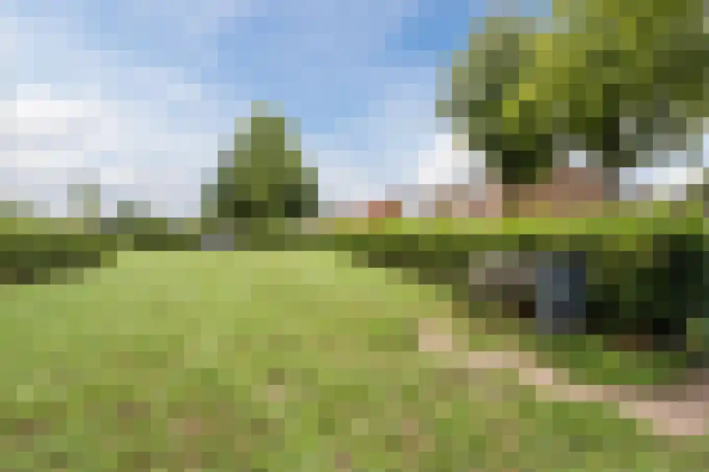 Meeuwenstraat 6 Overasselt thumbnail 50