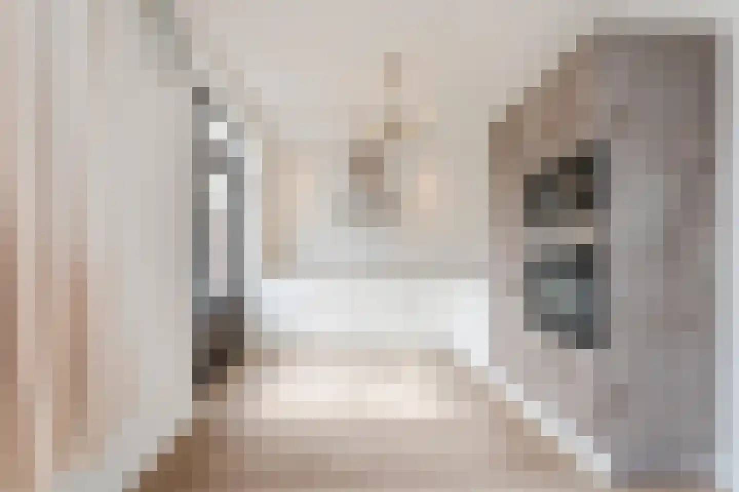 Meeuwenstraat 6 Overasselt thumbnail 6