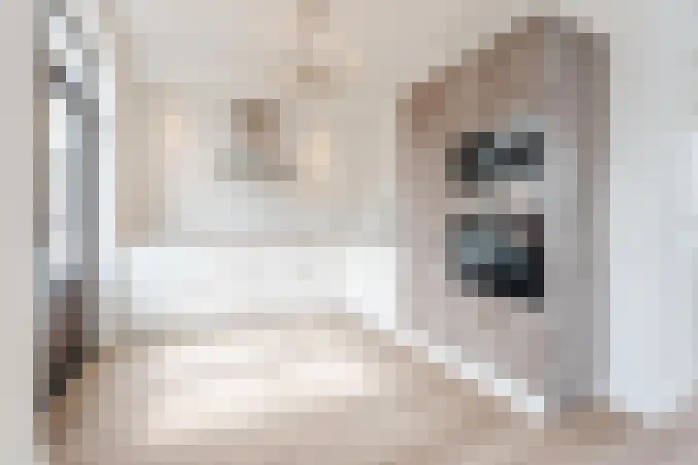 Meeuwenstraat 6 Overasselt thumbnail 7
