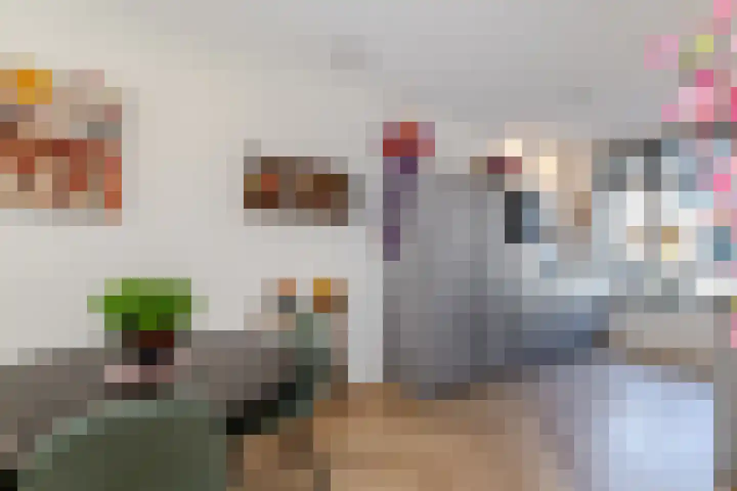 Meeuwenstraat 8 Vlaardingen thumbnail 10