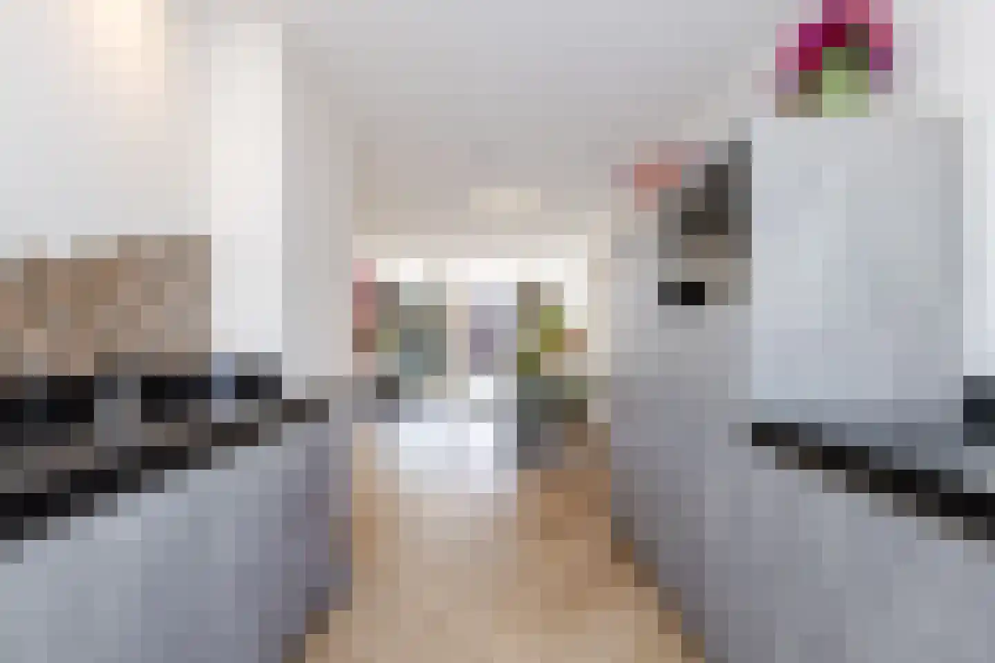 Meeuwenstraat 8 Vlaardingen thumbnail 24