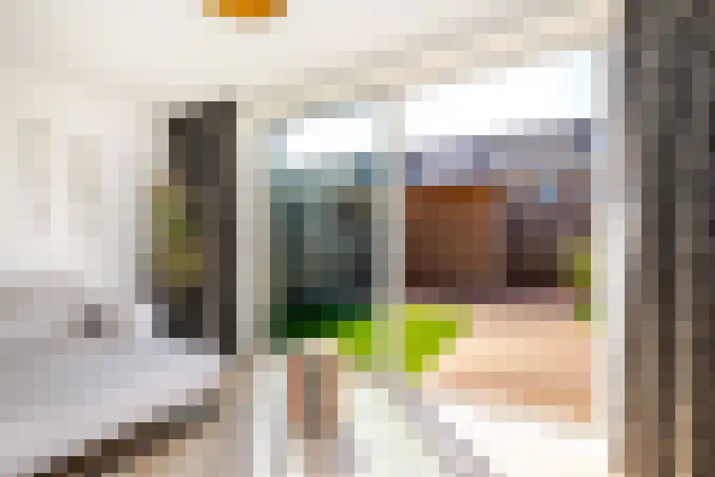 Meeuwenstraat 8 Vlaardingen thumbnail 25