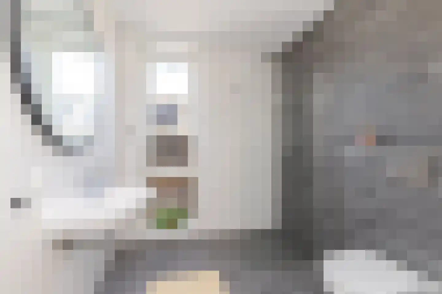 Meeuwenstraat 8 Vlaardingen thumbnail 4