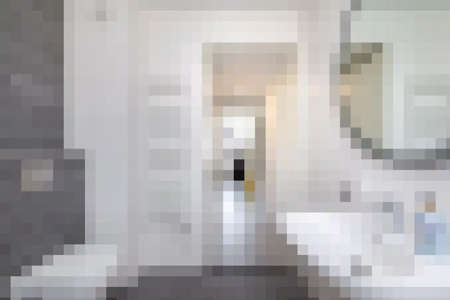 Meeuwenstraat 8 Vlaardingen thumbnail 41