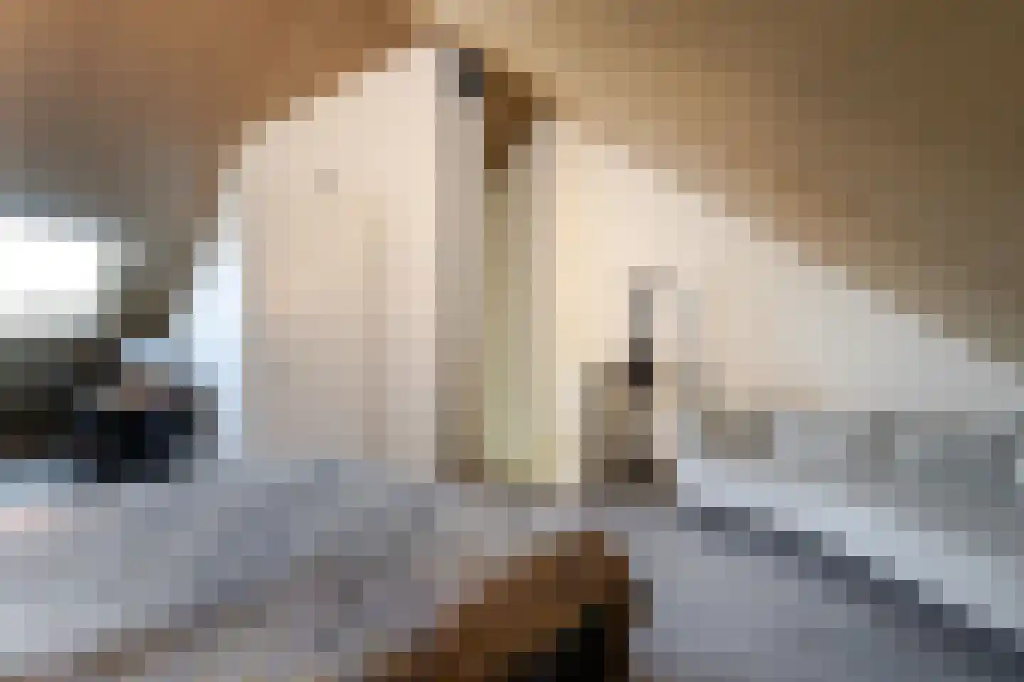 Meeuwenstraat 8 Vlaardingen thumbnail 43