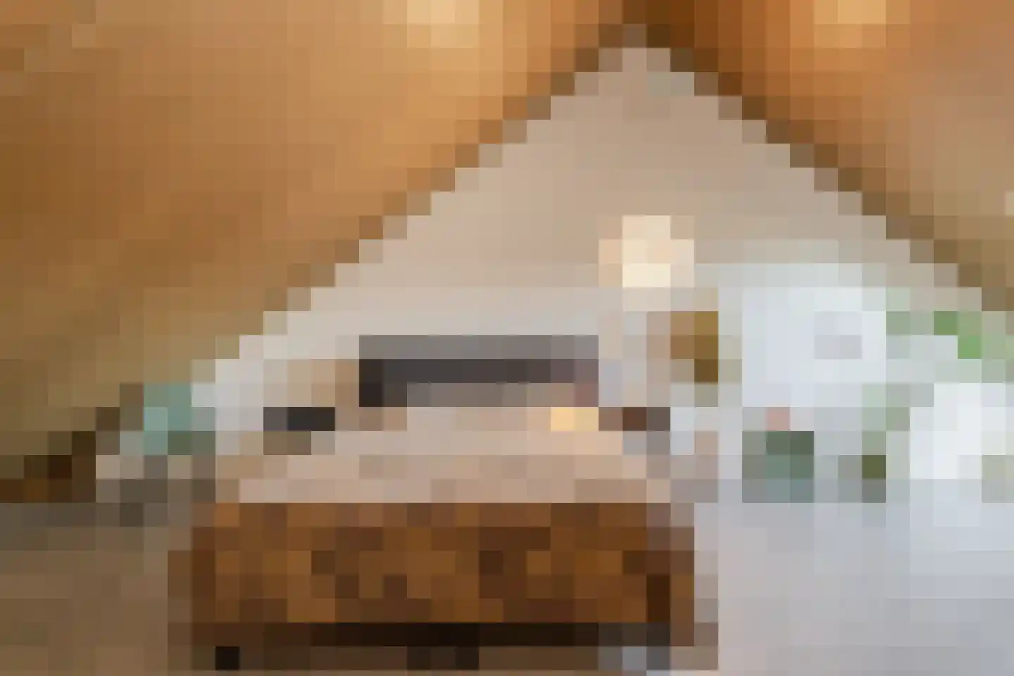Meeuwenstraat 8 Vlaardingen thumbnail 44