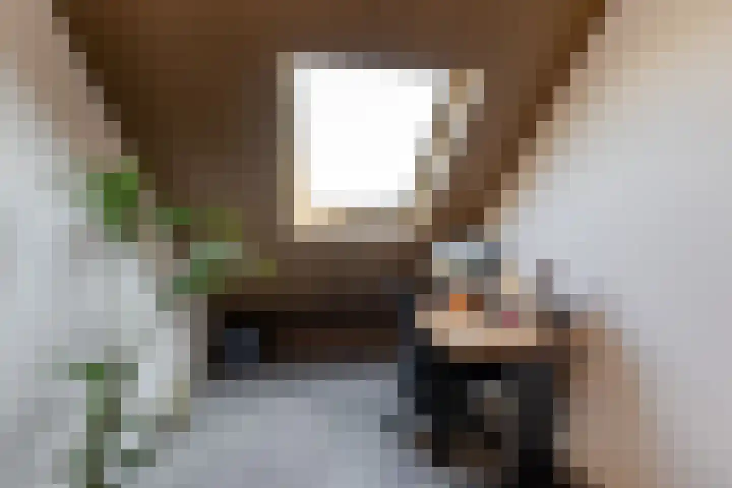 Meeuwenstraat 8 Vlaardingen thumbnail 46