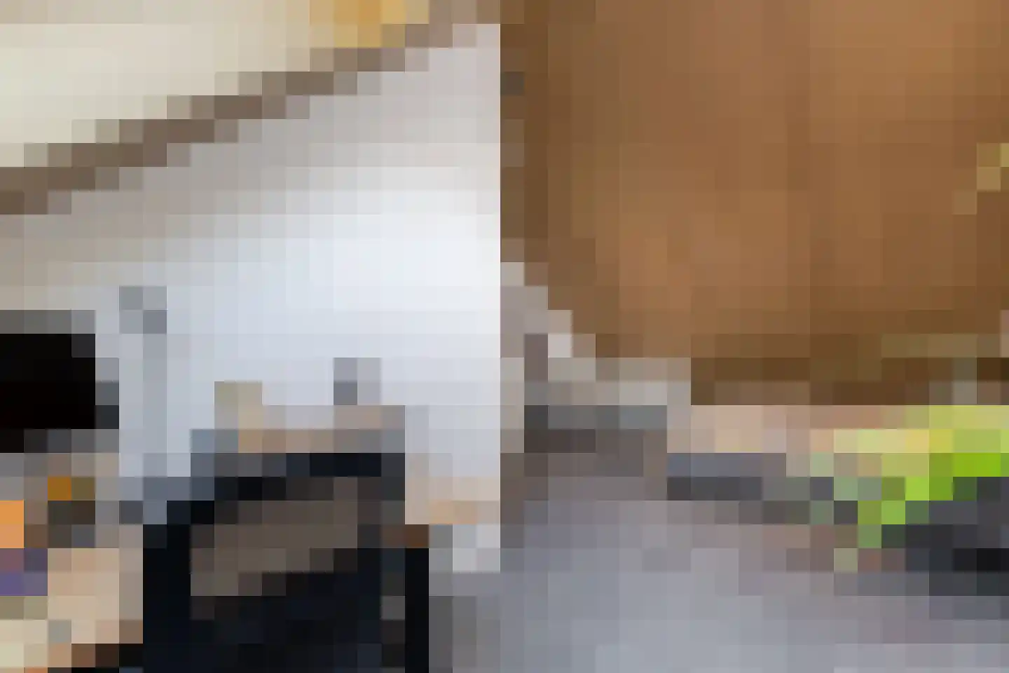 Meeuwenstraat 8 Vlaardingen thumbnail 47