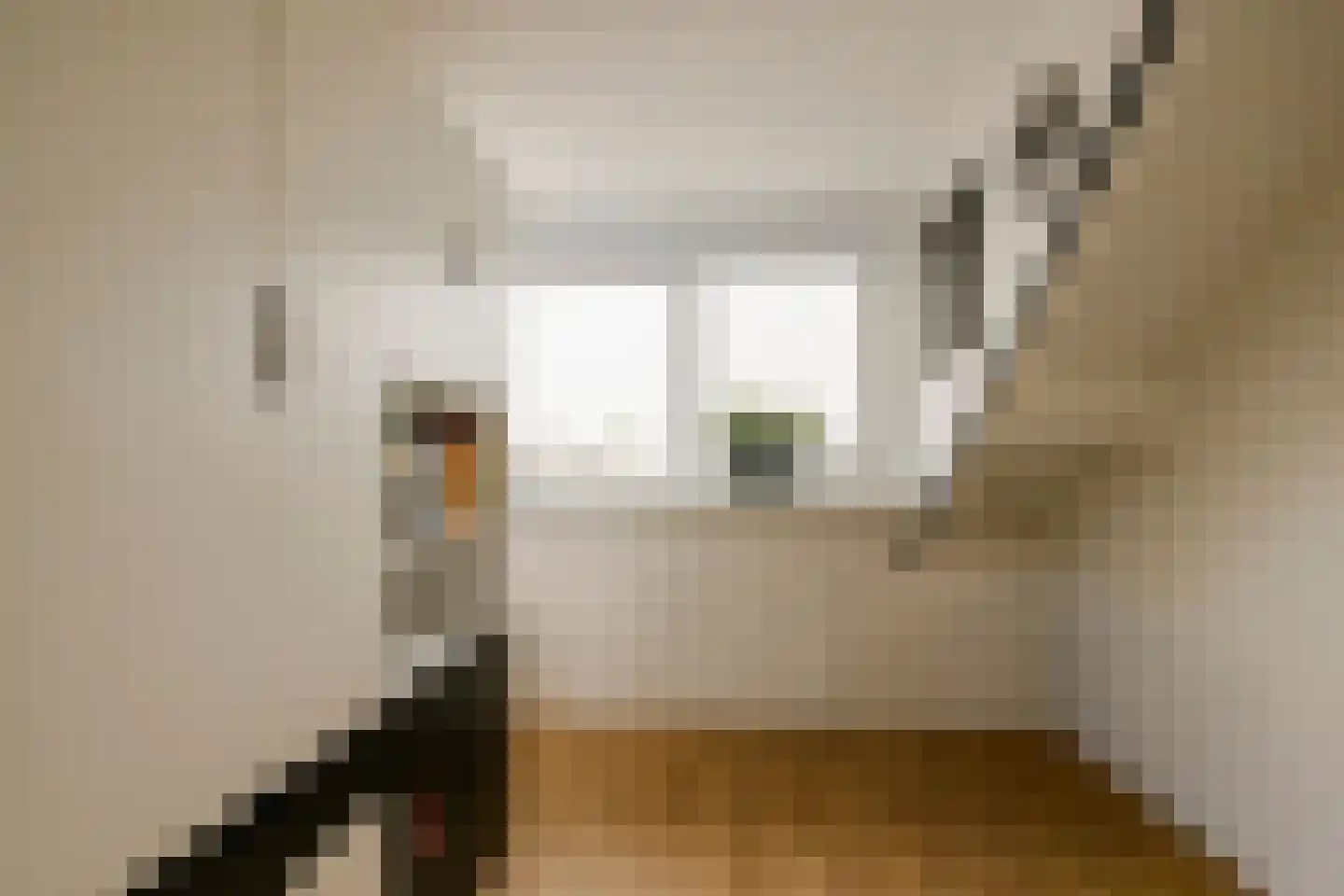 Meeuwenstraat 80 Haarlem thumbnail 36