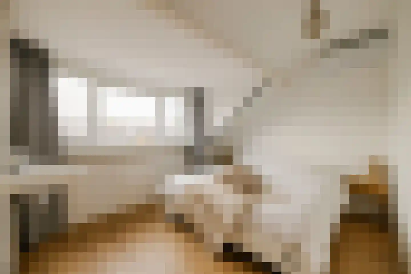 Meeuwenstraat 80 Haarlem thumbnail 37